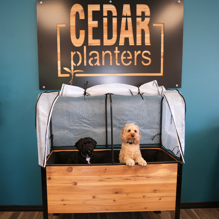 Greenhouse Cover – rectangular cedar planter box for outdoor and garden use