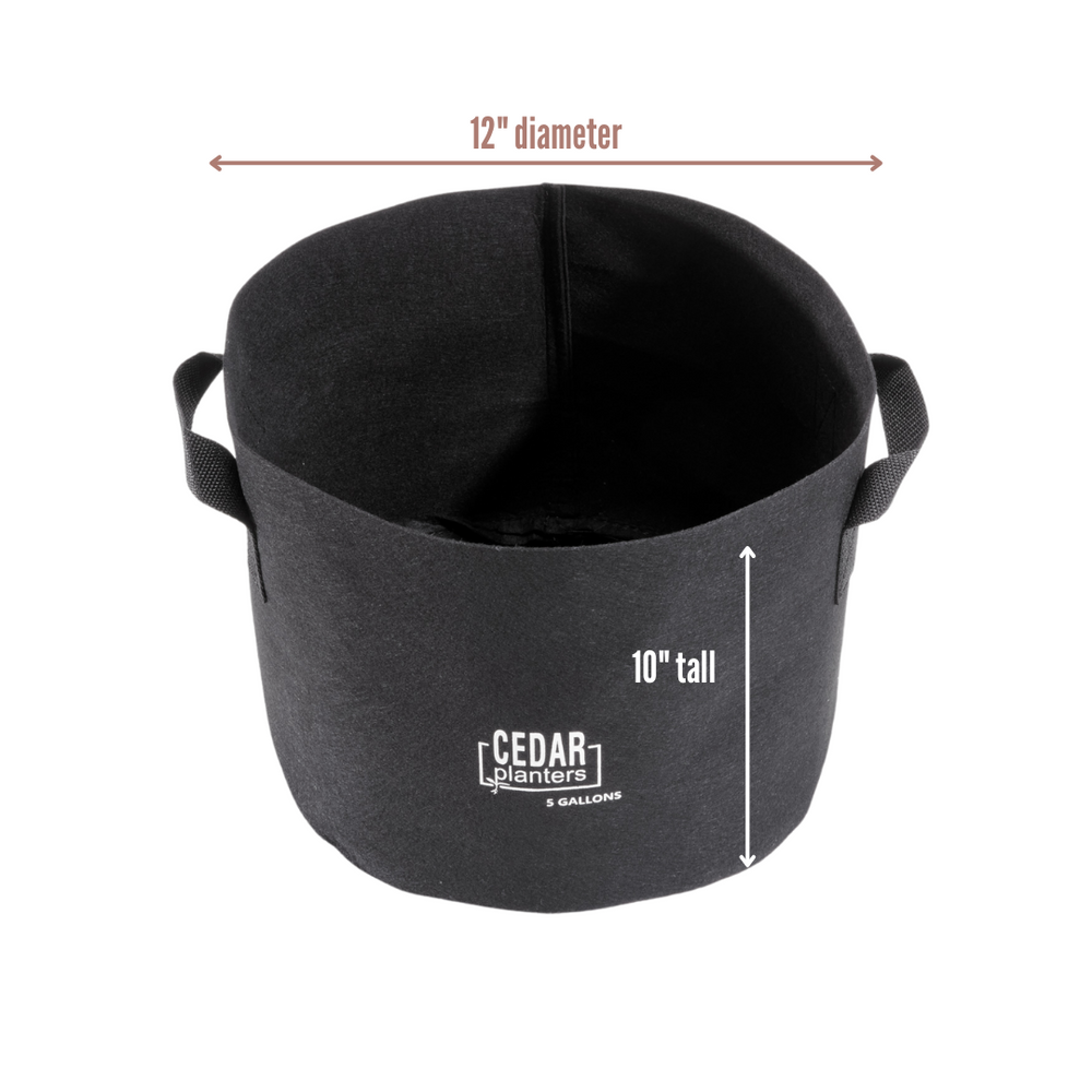 Grow Bag (5 Gallon) – rectangular cedar planter box for outdoor and garden use