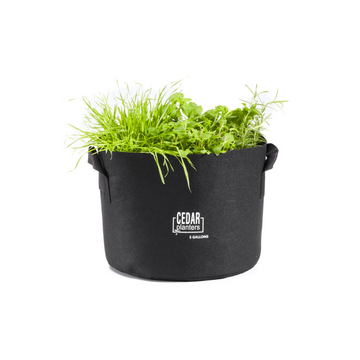 Grow Bag (5 Gallon) – rectangular cedar planter box for outdoor and garden use