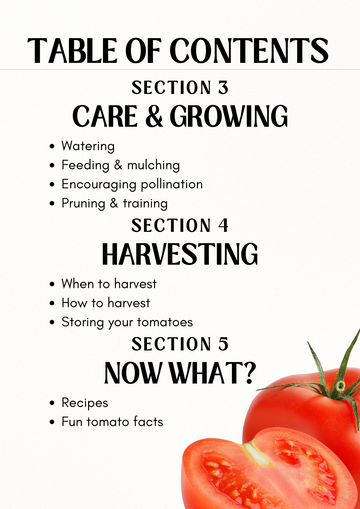 E-book: Tomato planting guide – rectangular cedar planter box for outdoor and garden use