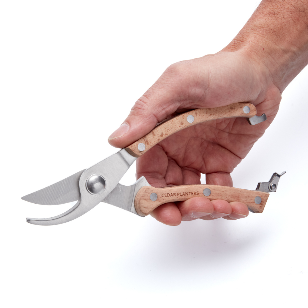 Garden Tools + Grow Bags Essentials – rectangular cedar planter box for outdoor and garden use