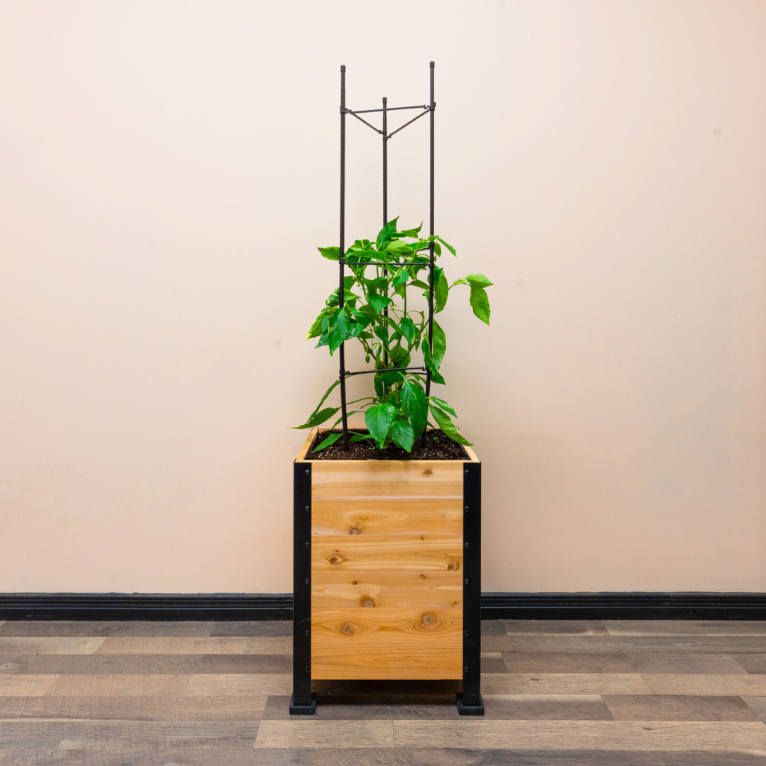 Vegetable Cage – rectangular cedar planter box for outdoor and garden use