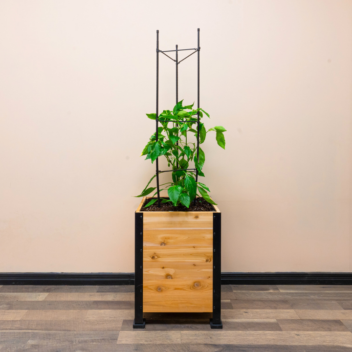 Vegetable Cage – rectangular cedar planter box for outdoor and garden use
