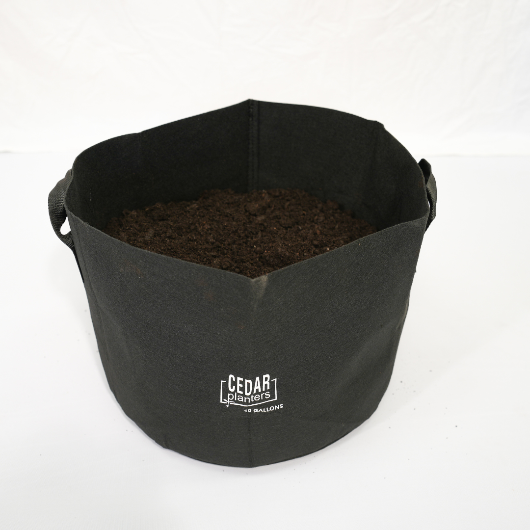 Grow Bag (10 Gallon) – rectangular cedar planter box for outdoor and garden use