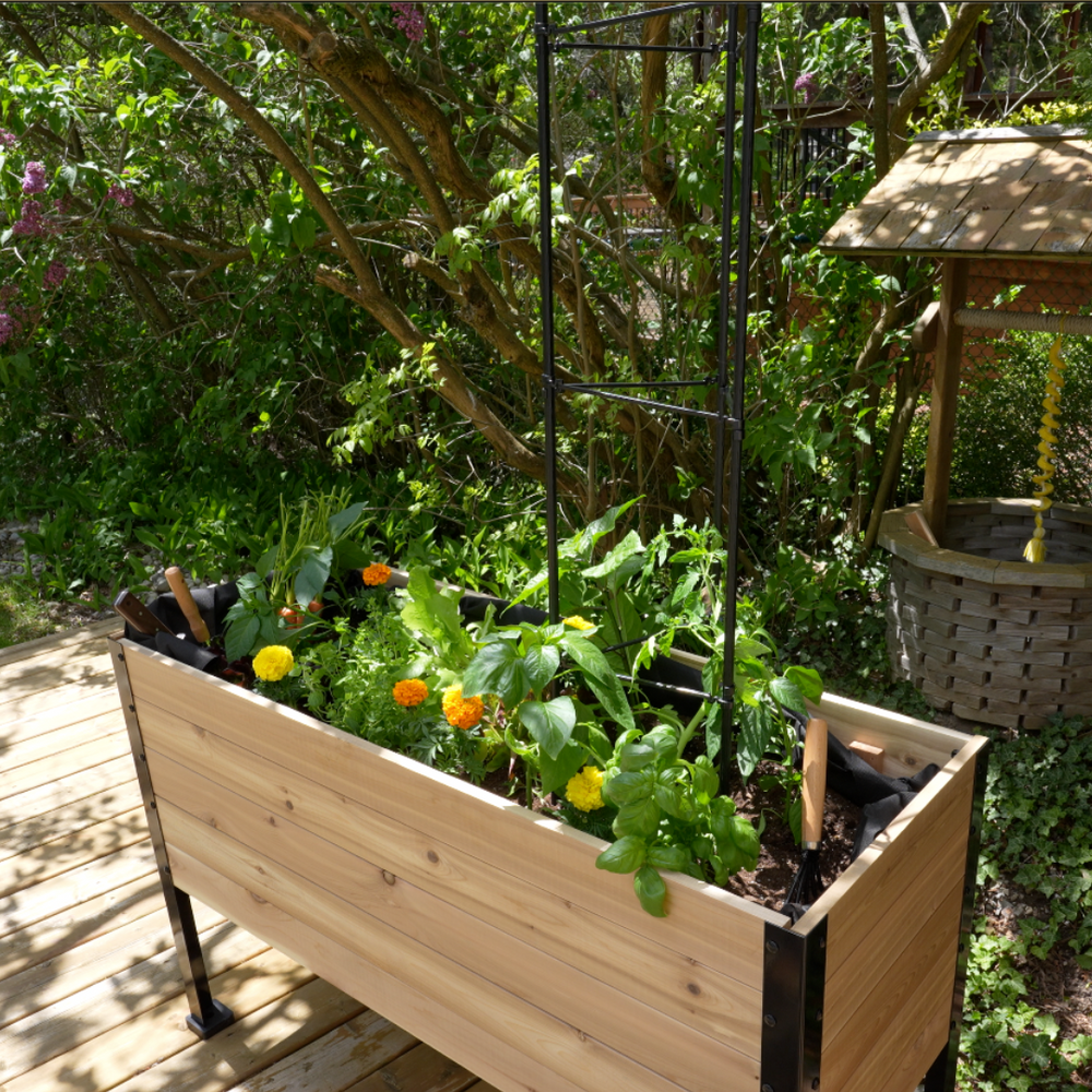 Adjustable Vegetable Plant Cage