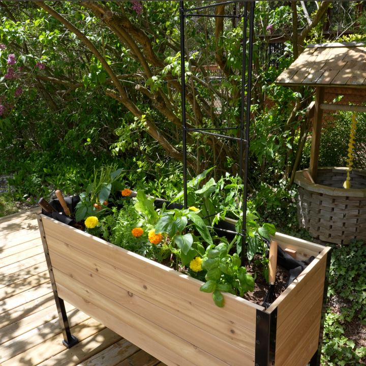 Vegetable Cage – rectangular cedar planter box for outdoor and garden use