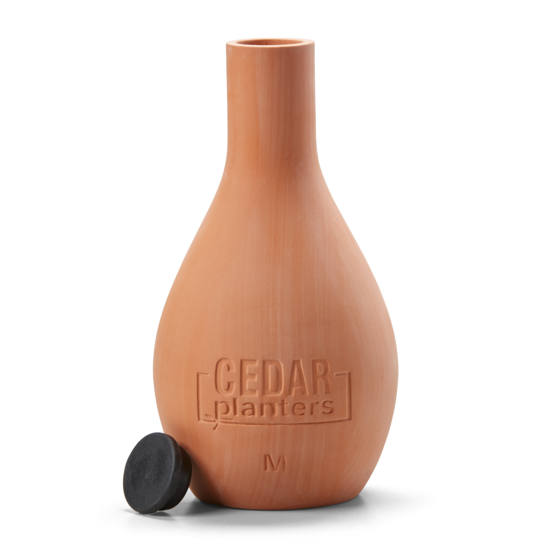 Self-Watering Clay Olla Pot – rectangular cedar planter box for outdoor and garden use