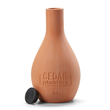 Self-Watering Clay Olla Pot – rectangular cedar planter box for outdoor and garden use