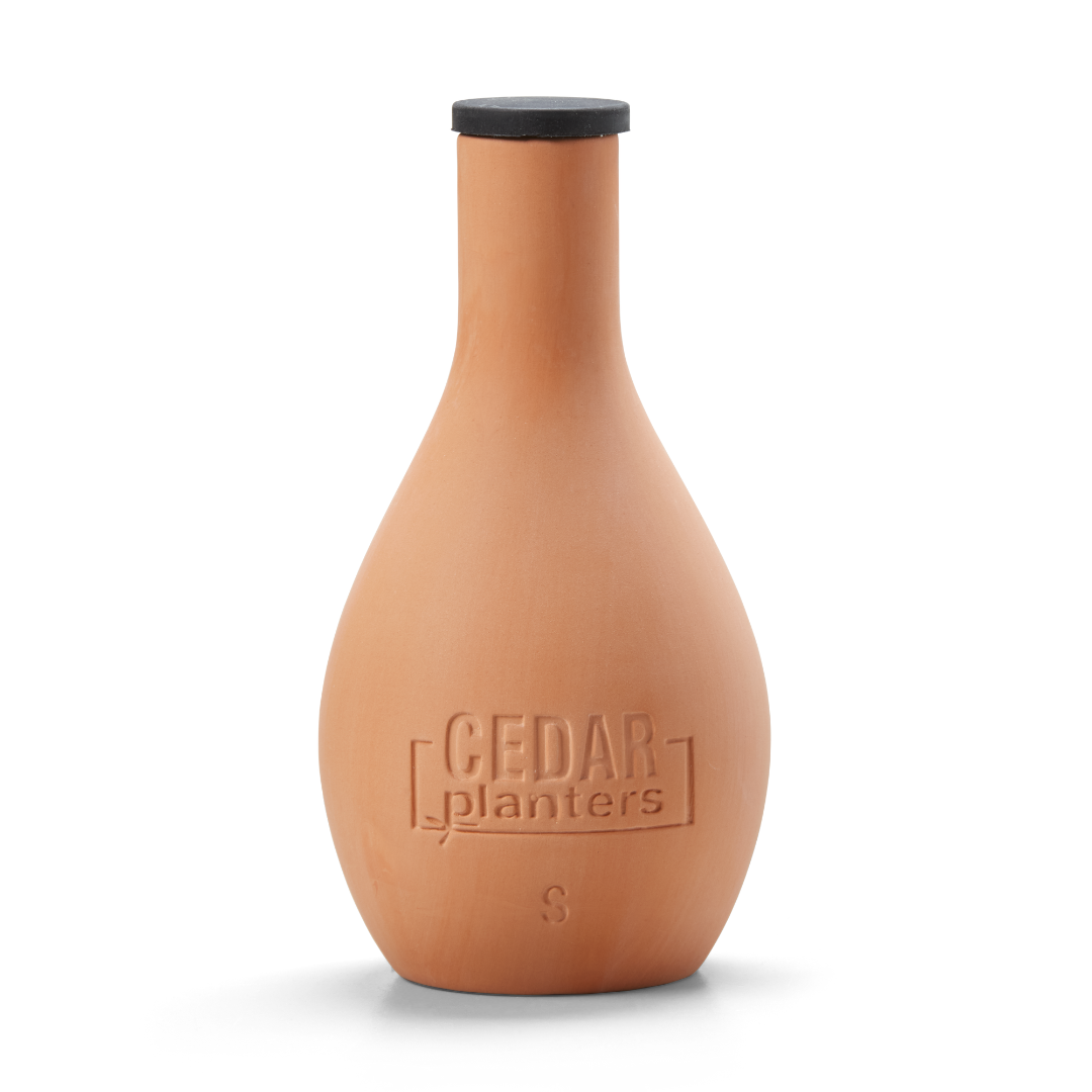 Self-Watering Clay Olla Pot – rectangular cedar planter box for outdoor and garden use