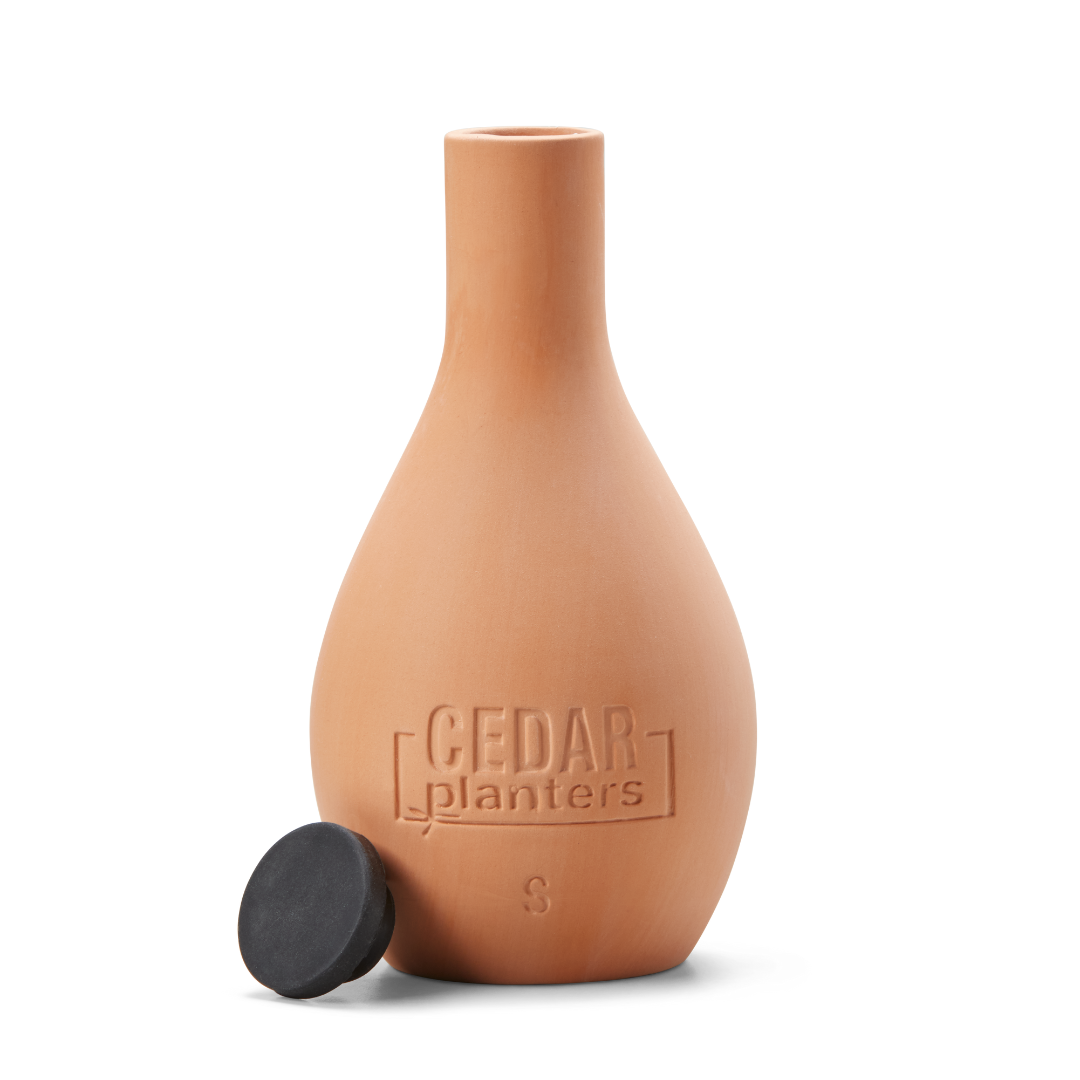 Self-Watering Clay Olla Pot – rectangular cedar planter box for outdoor and garden use