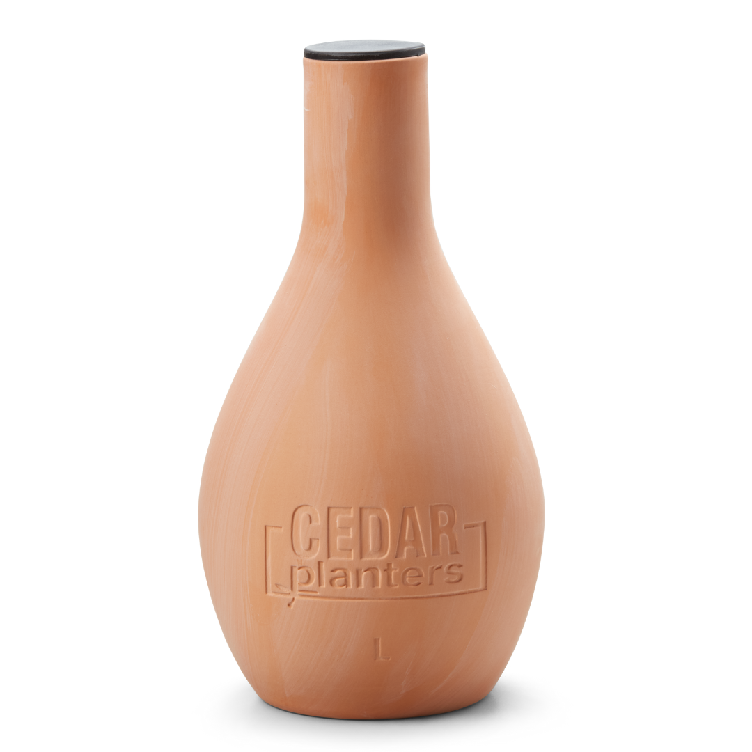 Self-Watering Clay Olla Pot – rectangular cedar planter box for outdoor and garden use