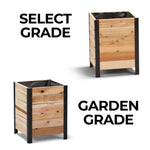 Two wooden planters with black frames on a white background, labeled 'Select Grade' and 'Garden Grade'.