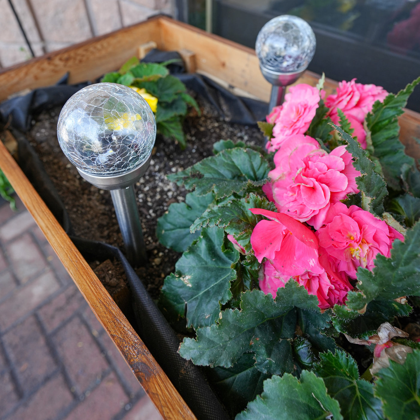 Solar Globe Garden Light – Cedar Planters