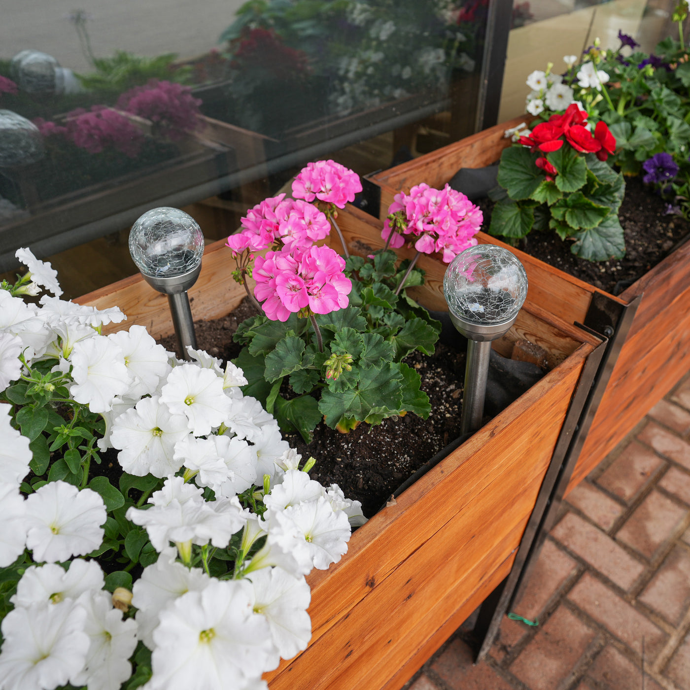 Solar Globe Garden Light – Cedar Planters