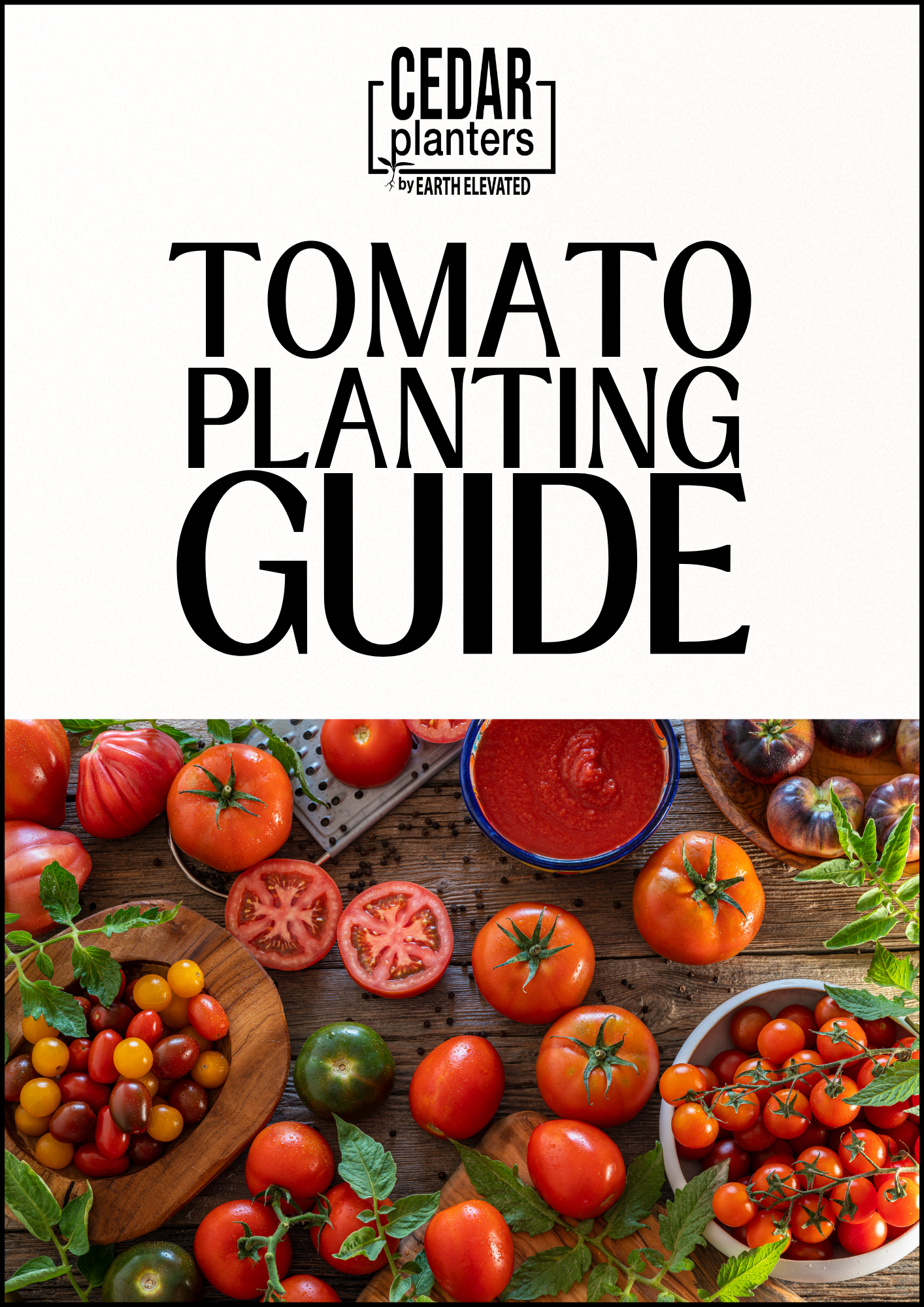 Tomato Planting Guide E-Book