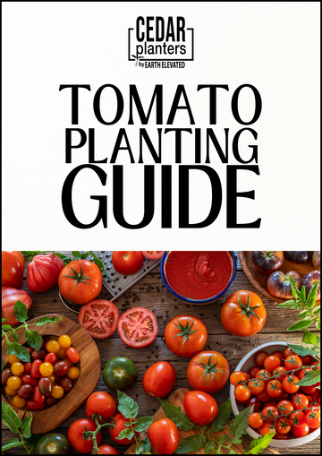 E-book: Tomato planting guide – rectangular cedar planter box for outdoor and garden use