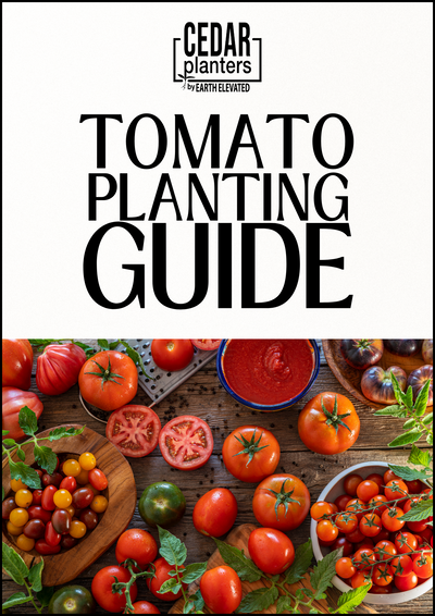 E-book: Tomato planting guide