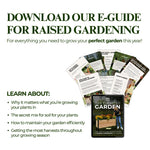 E-Book: Beginner's Guide to Raised Gardening