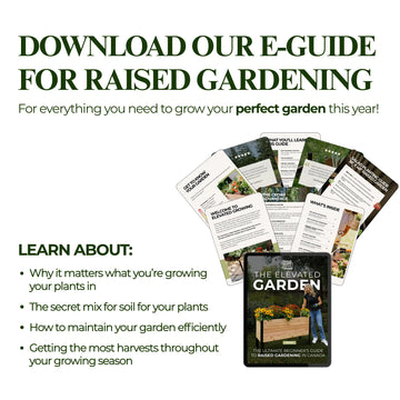 E-Book: Beginner's Guide to Raised Gardening
