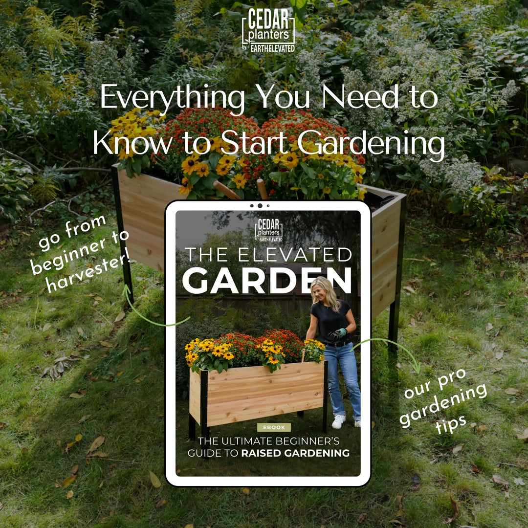 18" x 48" Raised Garden Bed + Sleeve Feet + Olla Pot + E-Book - Bundle
