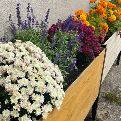 Cedar Planters Image 23836440789180