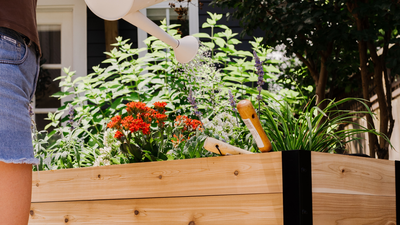 Cedar Planters Image 27933627613372