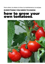 E-book: Tomato planting guide – rectangular cedar planter box for outdoor and garden use