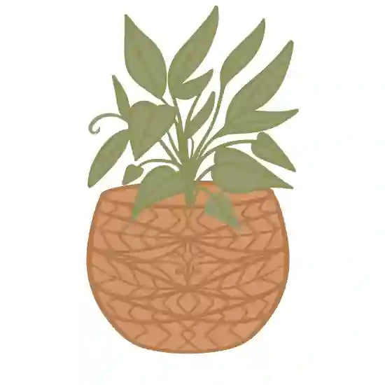 Cedar Planters Image 51480463835505