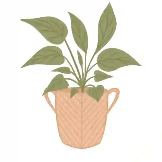 Cedar Planters Image 51480463671665