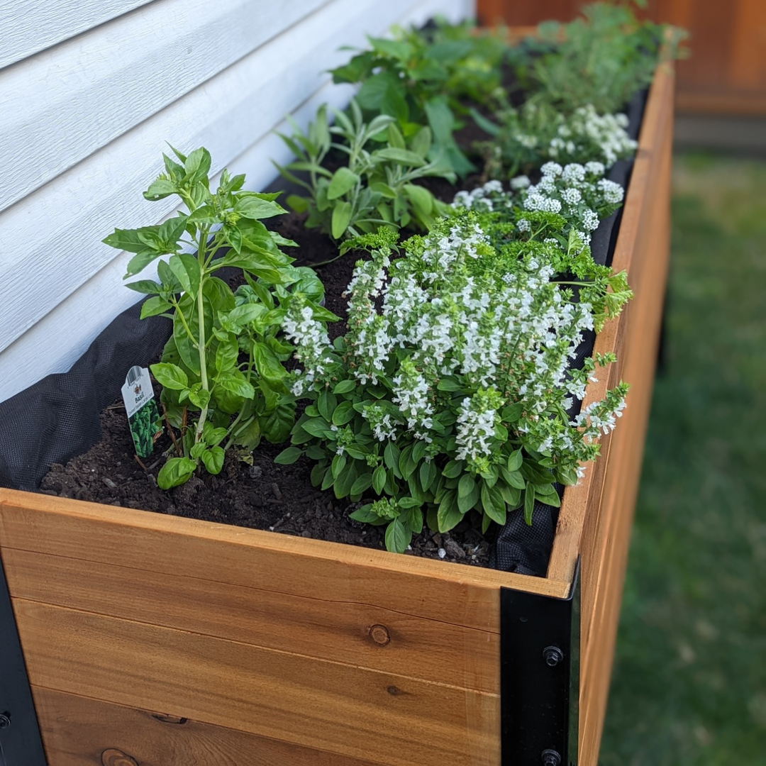 Cedar Planters Image 28586124476604