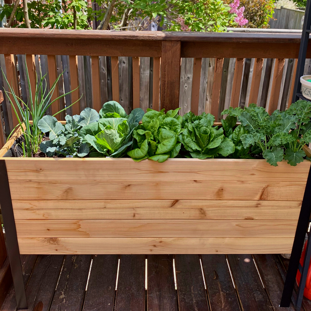 18 x 48 Raised Garden Bed - 30 TALL – rectangular cedar planter box for outdoor and garden use