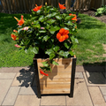 18″ x 18″ Planter Box - 24 TALL – rectangular cedar planter box for outdoor and garden use
