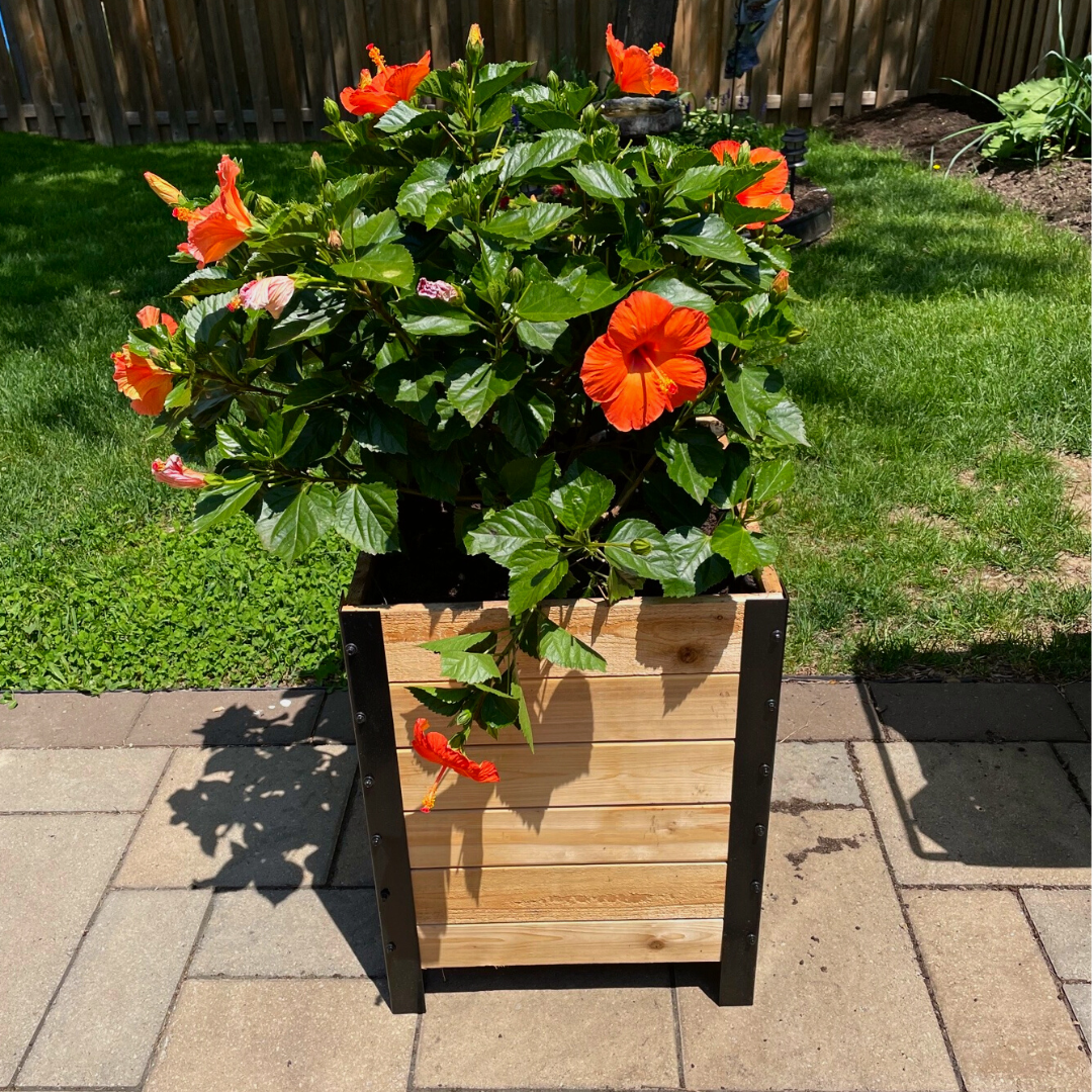 18″ x 18″ Planter Box - 24 TALL – rectangular cedar planter box for outdoor and garden use
