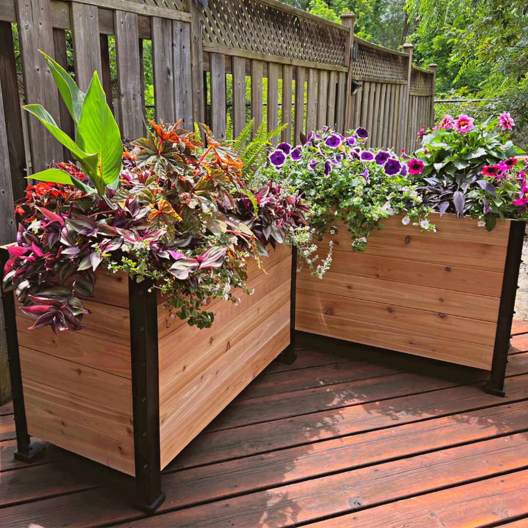36 tall planter pot 18"x36" Cedar Planter Box