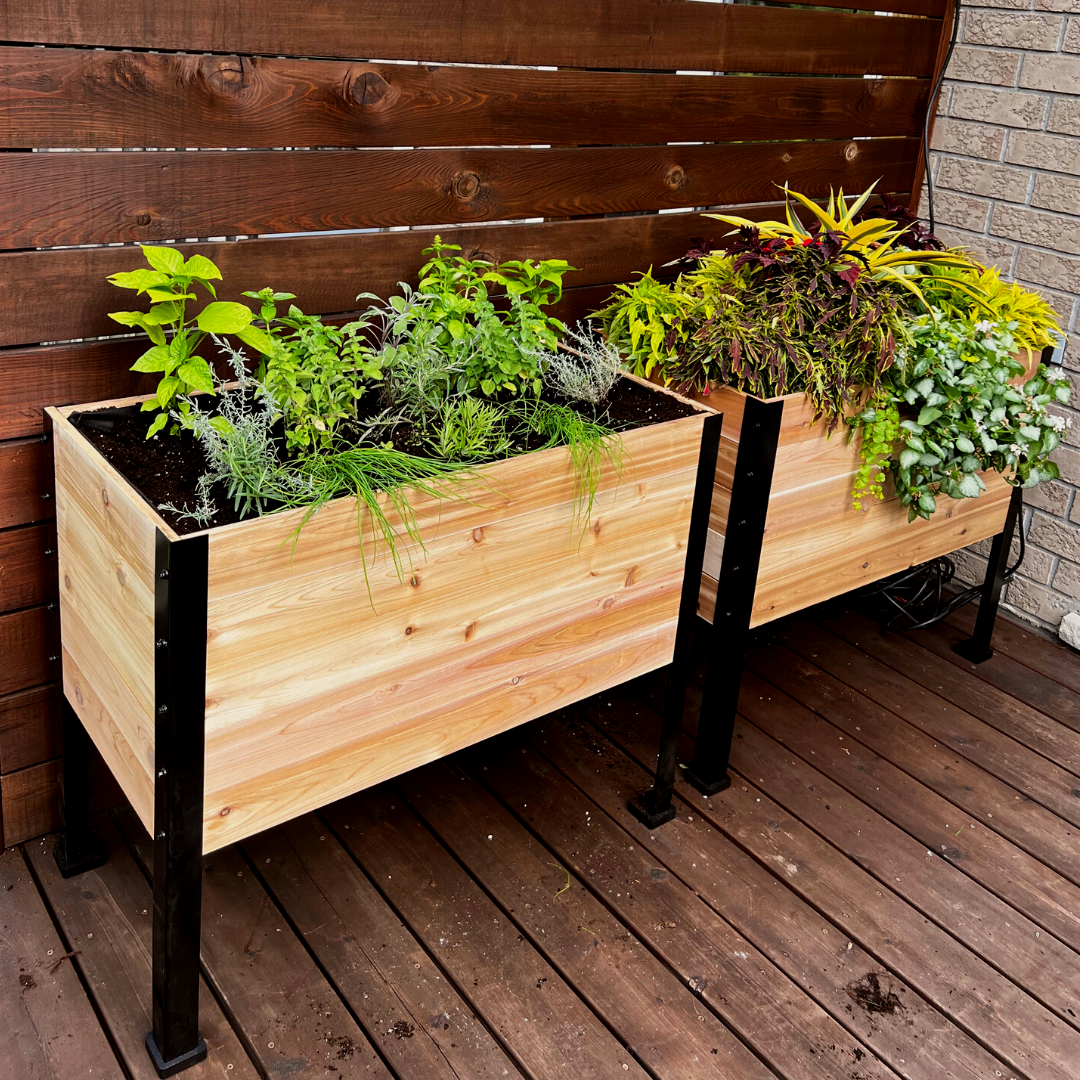 tall wood box planters Cedar Planters 18" x 36" Raised Garden Bed