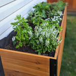 18 x 72 Planter Box - 24 TALL – rectangular cedar planter box for outdoor and garden use